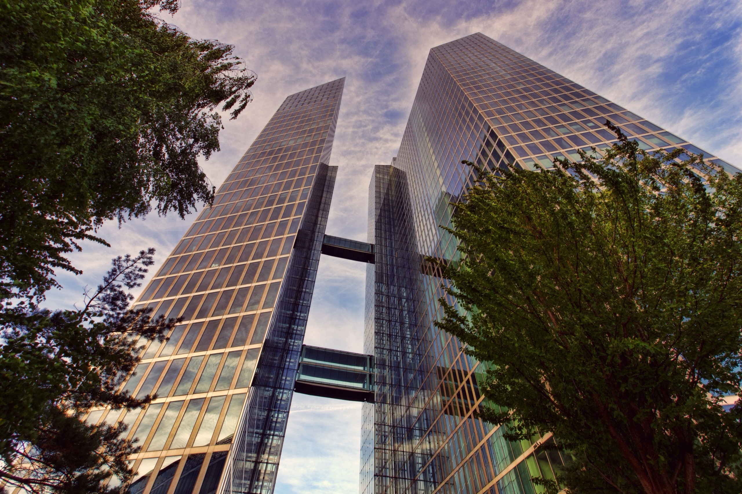 Two glass office towers connected by skybridges, seen from below through trees